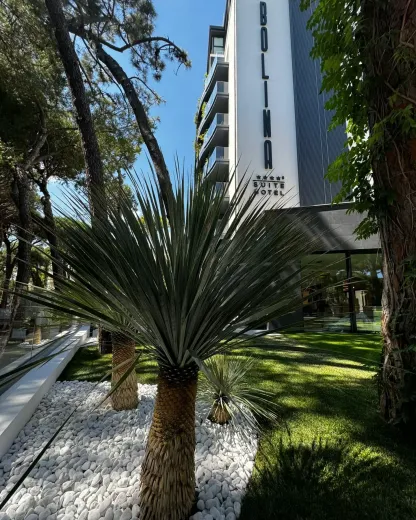 Hotel moderno con giardino, palme e pietre bianche, cielo azzurro sullo sfondo.